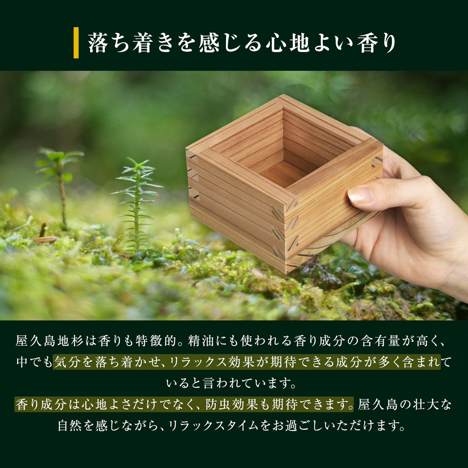 屋久島地杉の一合枡